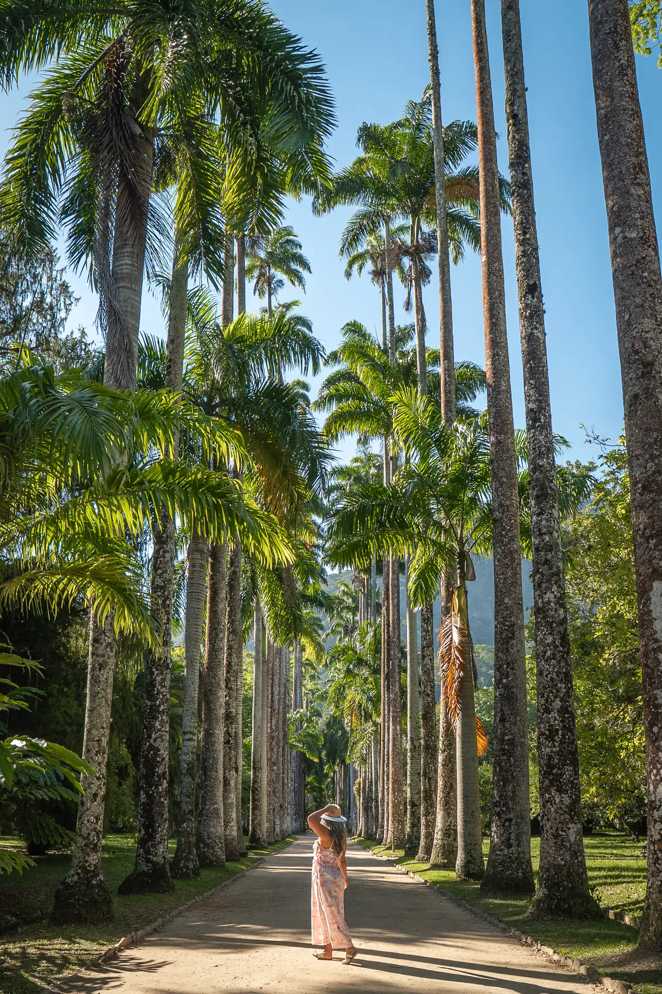 Buying FARM Rio is Cheaper in Brazil than the US!