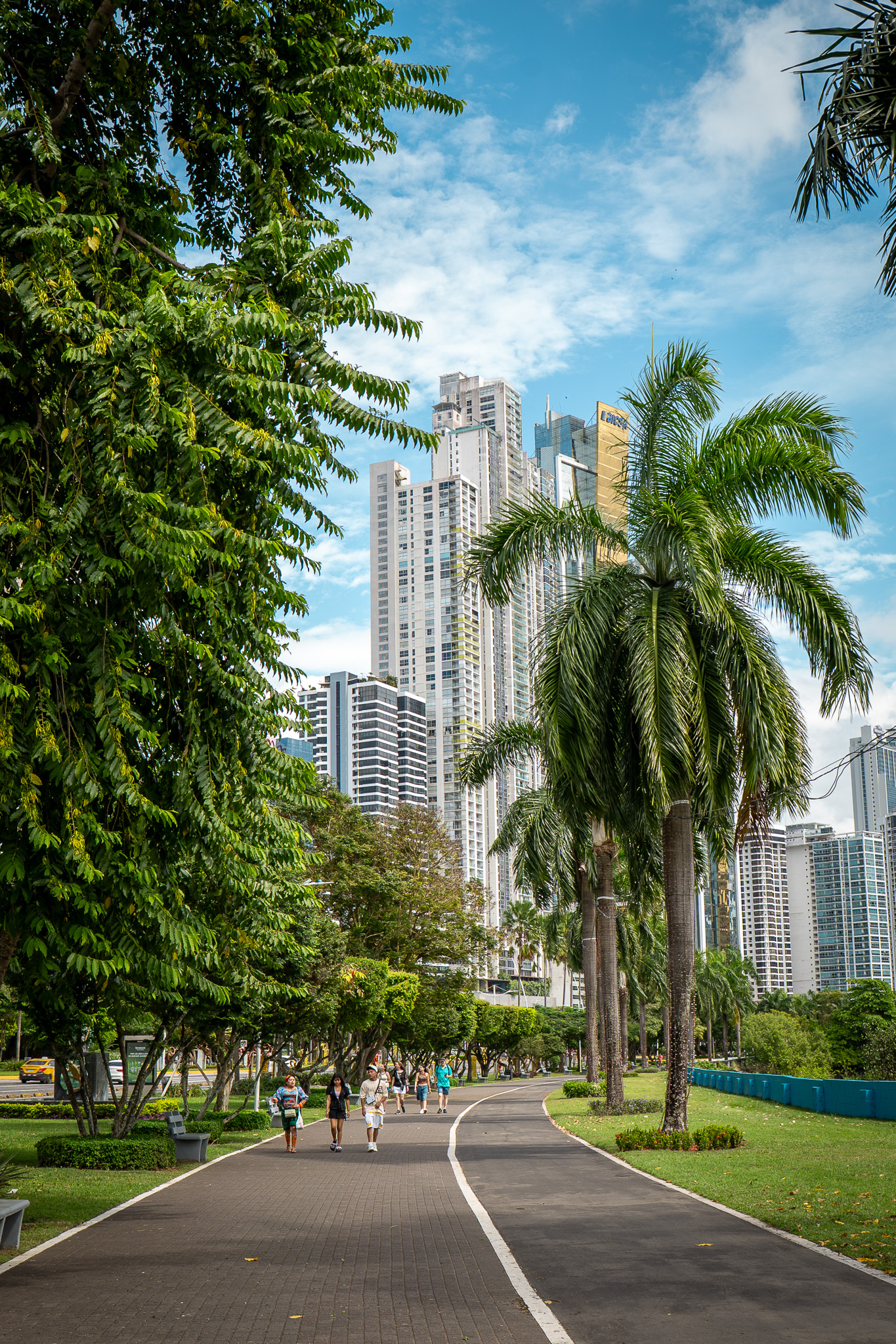 Panama City tree lined Malecon with skyscrapers and biking paths