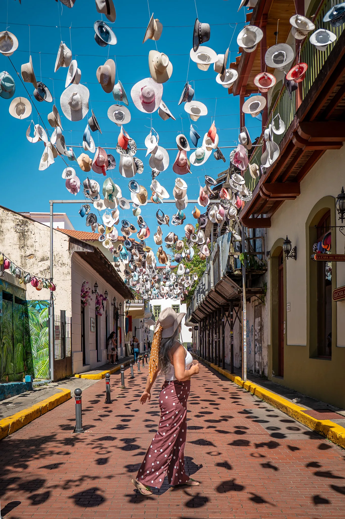 hat street in panama city casco viejo wallaroo denver hat