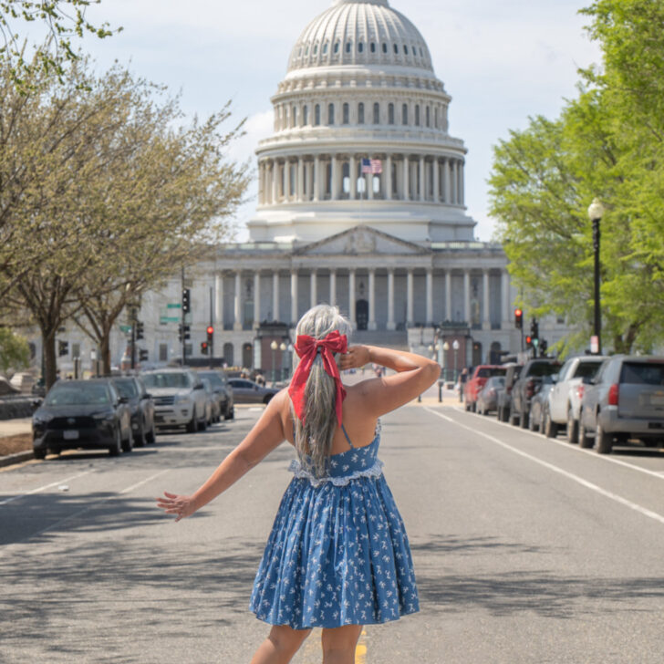washington DC Capital Selkie rosebud dress scottie vivaia mary janes
