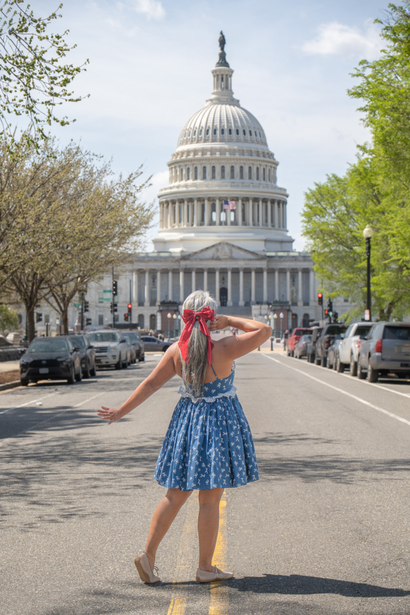 washington DC Capital Selkie rosebud dress scottie vivaia mary janes